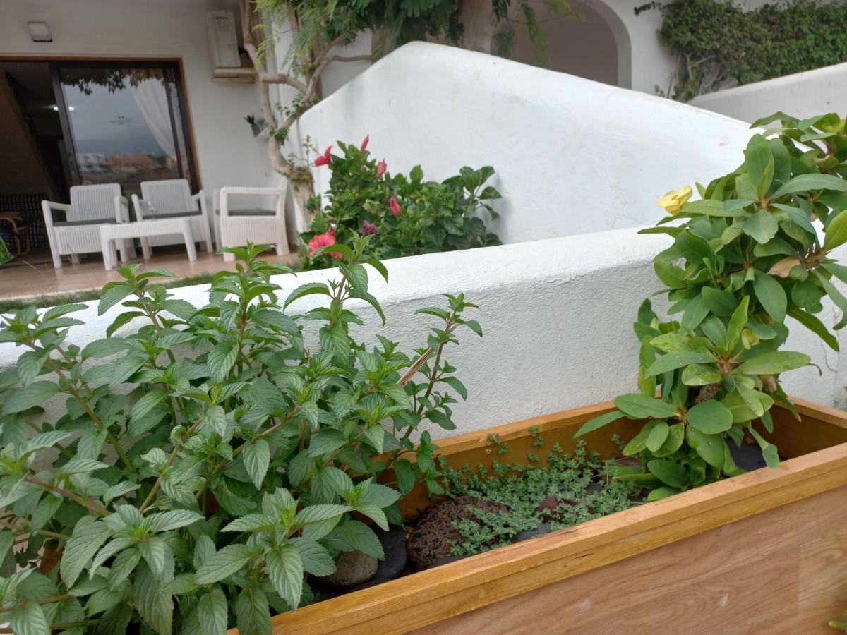 Fairways Club, Duplex B22 Appartement San Miguel de Abona Buitenkant foto